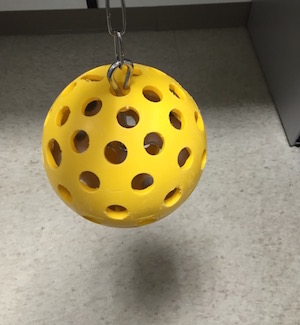 scientific tool photo